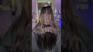 Hair Highlights Colour Transformation hairstyle shorts [upl. by Ayhay]