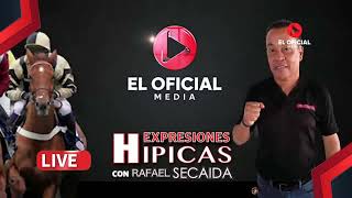 PRONOSTICOS CARRERAS AMERICANAS EN VIVO EXPRESIONES HIPICAS [upl. by Caruso]