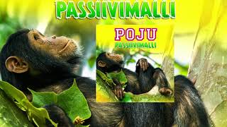 PojuPassiivimalli [upl. by Renate]