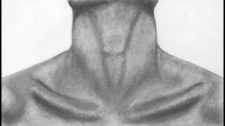 How to draw a realistic mans neck with graphite pencils graphitepencildrawing neck [upl. by Venator790]