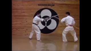 SHINSHINKAN KARATE DO  Basic Program [upl. by Burkhardt]