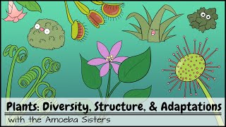 Plants Diversity Structure amp Adaptations [upl. by Norrek]