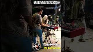 CARPINTEIRO DO UNIVERSO  RAUL SEIXAS  BANDO DO RAUL COVER  shorts aovivo bandaaovivo raul [upl. by Dlabihcra581]