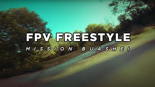 FPV Freestyle  MissionBuashei [upl. by Kenelm480]