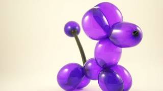 Palloncino topolino how to twist a balloon mouse [upl. by Elburr840]