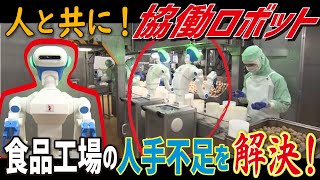 【ロボットが同僚に（LBS名古屋）】食品工場の強力な助っ人！人手不足解消へ [upl. by Gayl]