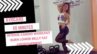 20 Min Intense Cardio Workout to loose lower Belly Fat fun fatburn cardio [upl. by Adamek]