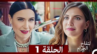 التفاح الحرام الحلقة ال1 Arabic Dubbed [upl. by Ecarret414]