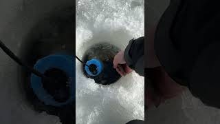 Have you caught your first fish for the 2024 ice season [upl. by Cence485]