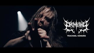 Organectomy  Tracheal Hanging OFFICIAL VIDEO [upl. by Bloch]