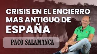 Cuéllar los encierros de toros mas antiguos de España envueltos en una gran polémica [upl. by Eslud]