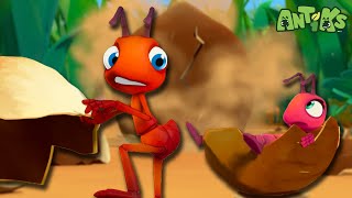 These Ants are Nuts 🥜  🐜 Antiks 🐜  Funny Cartoons for Kids  Moonbug [upl. by Daye]