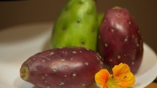 When Is It Ripe Cactus Pears [upl. by Bonneau534]