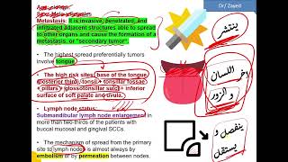 شرح ال Squamous cell carcinoma  TNM System [upl. by Lahcim]