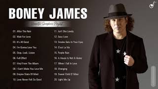 Boney James Greatest Hits Playlist  Boney James Best Saxophone Songs Collection [upl. by Deana292]