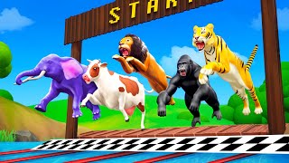 Zoo Animals Swimming Race  Elephant Lion Cow Gorilla Tiger Fox  Funny Animals 3D Cartoons [upl. by Bamby495]