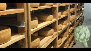 Inside a Cheese Cave  Potluck Video [upl. by Elbon]