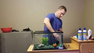 How to set up a fish tank [upl. by Ydnik]