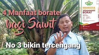 4 Manfaat pupuk borate untuk kelapa sawit dan dosis rekomendasi [upl. by Ennaylime]