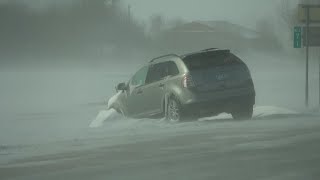 Ground Blizzard Conditions Renville County MN  2152023 [upl. by Seavey]