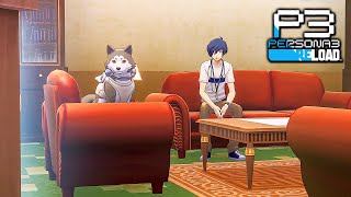 Watching TV with Koromaru  Persona 3 Reload [upl. by Lesab502]