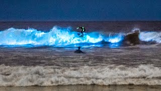 Unbelievable Bioluminescent Beach California [upl. by Tyler]