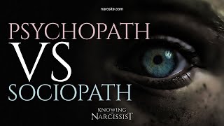 Psychopath v Sociopath [upl. by Airekal]