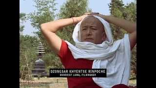 Glimpses of Dilgo Khyentse Rinpoche [upl. by Aibat]