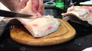 APRENDA A TIRAR O FILÉ DE TILAPIA P SASHIMI [upl. by Lesoj]