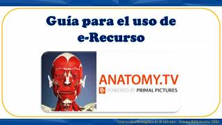 AnatomyTV  UEES [upl. by Ailemor142]