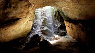 Natures Tours Punakaiki [upl. by Hauck]