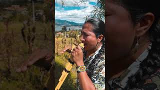 ATIPAK CHRISTIAN  Ameno Remix 🔥 nativepride indigenous andeanmusic [upl. by Kat574]