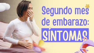 SEGUNDO MES de EMBARAZO ¡SÍNTOMAS👶💕 [upl. by Engedi]