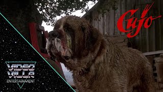 Is Cujo 1983 the best Stephen King Film [upl. by Surad663]