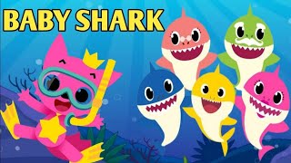 Baby Shark Song and dance Nursery Rhymes amp Kids Songs toddlers [upl. by Hahnert]