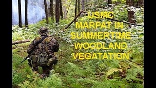 USMC MARPAT IN SUMMERTIME WOODLAND VEGITATION [upl. by Aonian]