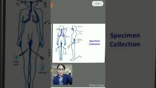 Identification of pathogenic microorganisms [upl. by Ellehcsor740]