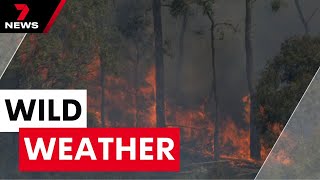 Bushfires destroy homes in western Victoria as wild winds smash Melbourne  7NEWS [upl. by Jakob]