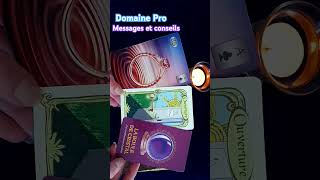 Domaine Pro Msg ampConseils tirageachoix messagedesguides predictions [upl. by Enelyar]