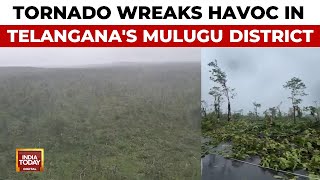 Thousands Of Trees Uprooted Due To A Massive Tornado In Telanganas Mulugu District Forests [upl. by Cohlette]