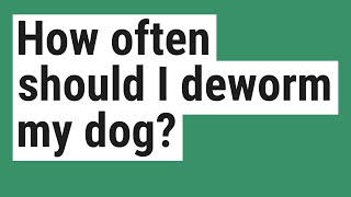 How often should I deworm my dog [upl. by Vivl]