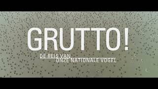 Grutto  de officiële trailer [upl. by Paz836]