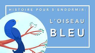 LOiseau bleu  Conte de fées français  Histoire pour sendormir [upl. by Aimac]