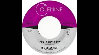 The Splendids  Cry Baby Cry OFFICIAL AUDIO [upl. by Nomelif542]