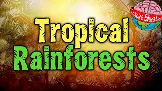 What are tropical rainforests [upl. by Durrell]