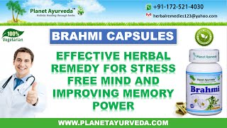 Brahmi Capsules  Effective Memory Enhancement amp Stress Relieving Herbal Supplement [upl. by Ppilihp873]