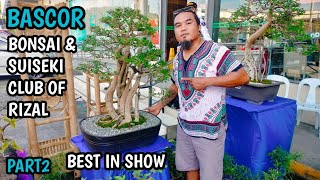 PART2BASCOR BONSAI amp SUISEKI CLUB OF RIZAL BONSAI SHOW 2024GAISANO MALL BINANGONAN RIZAL [upl. by Zea800]