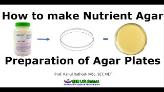 Preparation of nutrient agar plates l How to make agar plate [upl. by Pomfrey152]