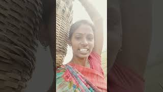 Paniki vachinam pends trdingshorts viralvideo villagelife [upl. by Nanreh]