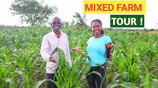 Profitable MIXED FARMING Business NO REGRETS [upl. by Navert442]